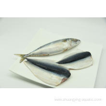 Frozen Fish Whole Round Bqf 300-500g Pacific Mackerel